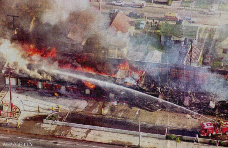 Visiting the Cockatoo during the 1992 LA Riots